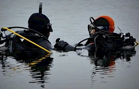 Ronioci bez kontrole dok zakon čeka na usvajanje