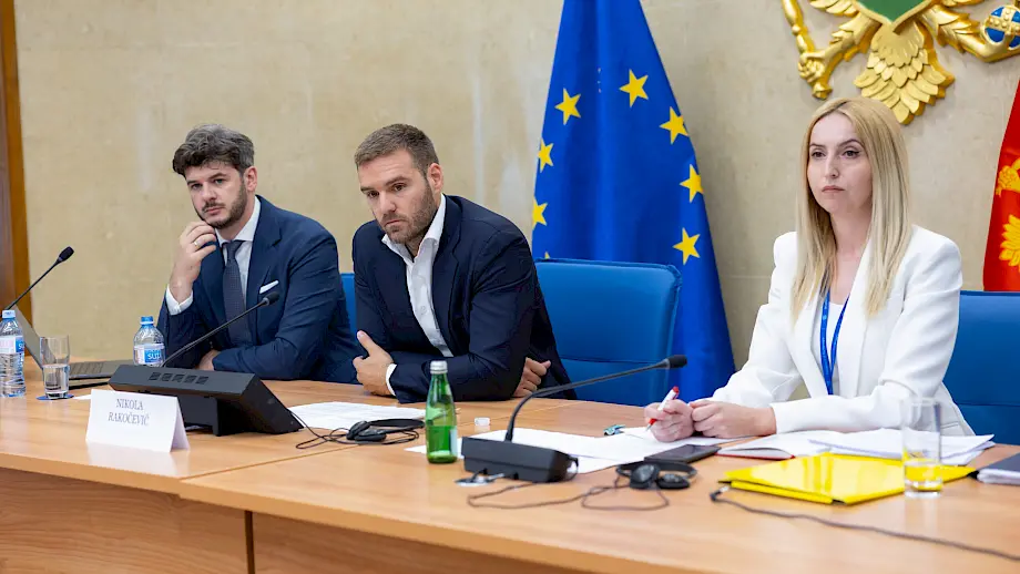 Vasilije Čarapić (L) i Rakočević (u sredini) na sjednici Odbora za sveobuhvatnu izbornu reformu. Foto: Skupština Crne Gore