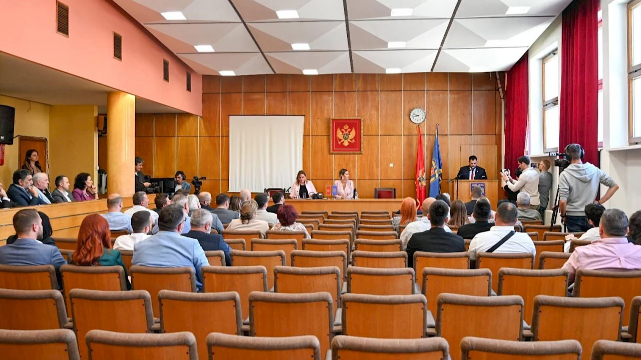 Bez tendera potrošili preko pola miliona eura