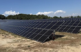 Solarne elektrane prijete zaštićenim vrstama